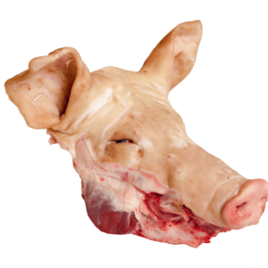 pig head