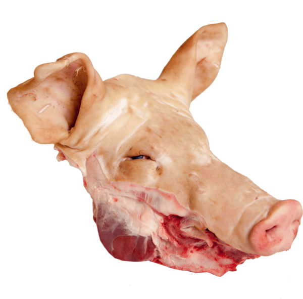 pig head