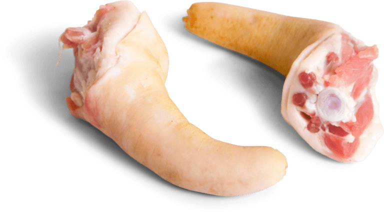 pork tail