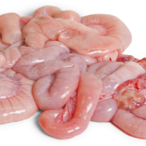 pork small intestine