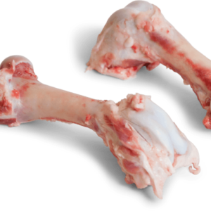 pork femur bones