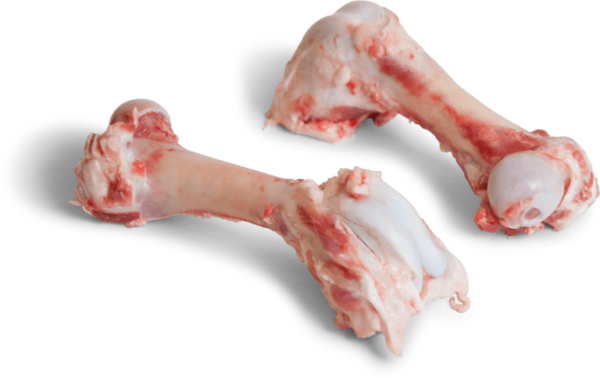 pork femur bones